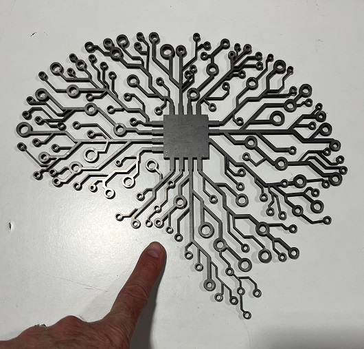 File:Brain.jpg