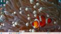 Thumbnail for version as of 16:05, 23 September 2026