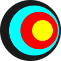 The circles in this bullseye do not share the same centers, so they're eccentric.